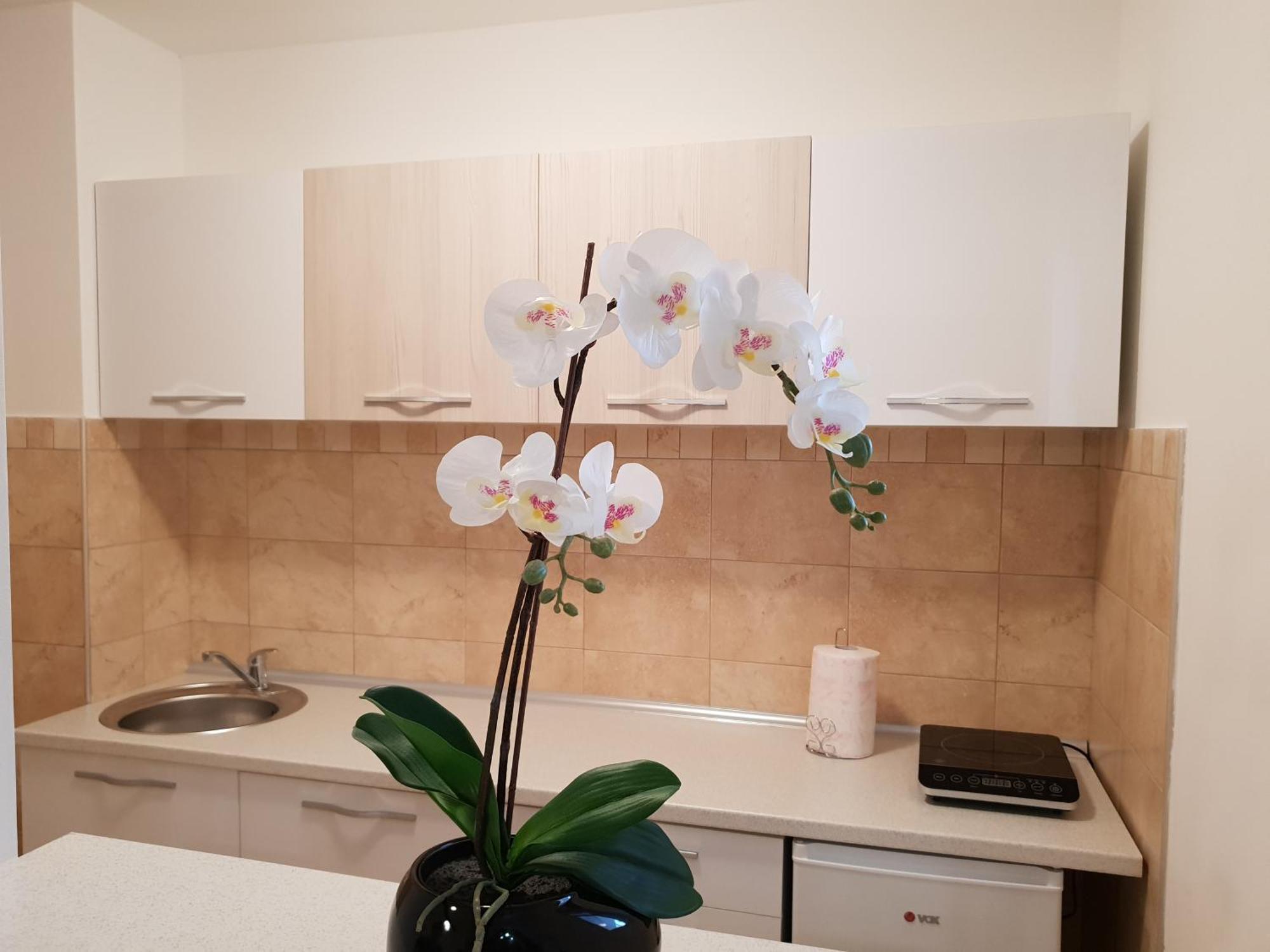 Apartman Kej Free Parking คราลเยโว ภายนอก รูปภาพ